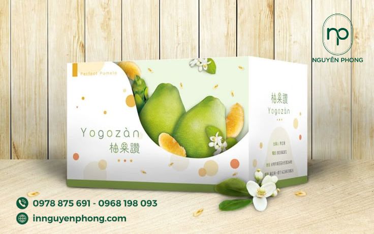 mẫu thùng carton 5 lớp sóng BC đựng trái cây đẹp mắt